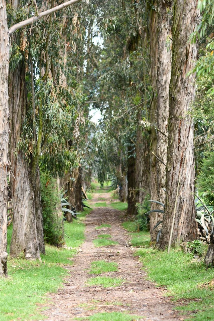 מלון Sangolquí Hacienda La Carriona מראה חיצוני תמונה